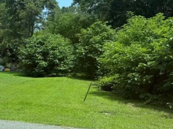 0 FIRST ST, GREENWOOD, DE 19950