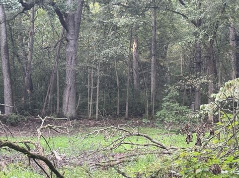 Main Photo