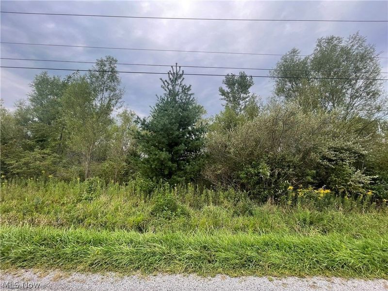 Smith Road, Jefferson, OH 44047 Photo 2