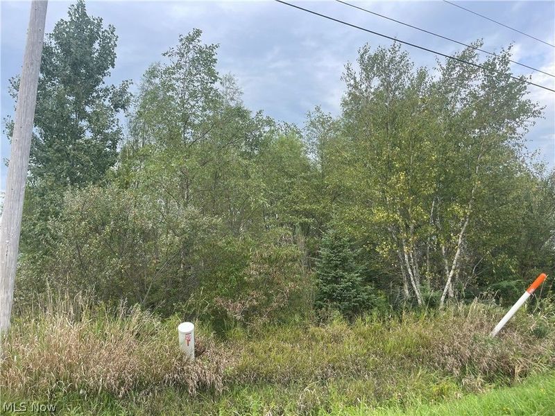 Smith Road, Jefferson, OH 44047 Photo 3