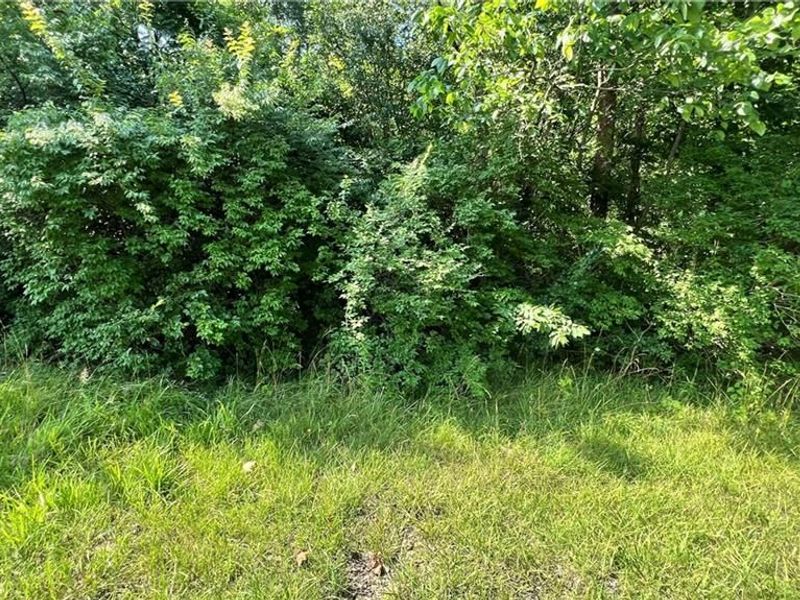 7415 Pleasant Plain Drive, Clayton, OH 45315 Photo 8