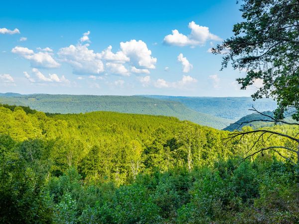 0 High Ground Road, Guild, TN 37340