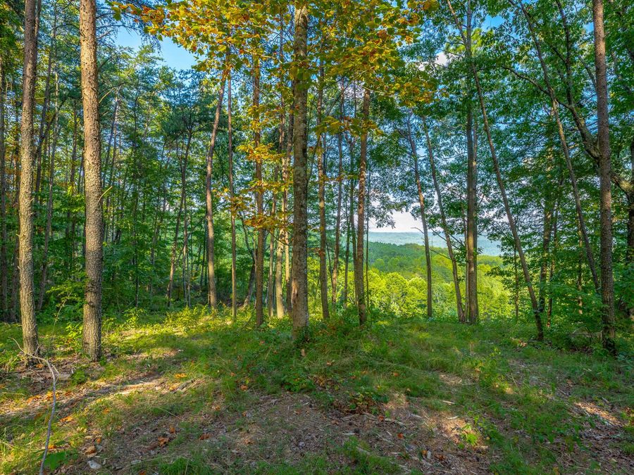 Property Image 36