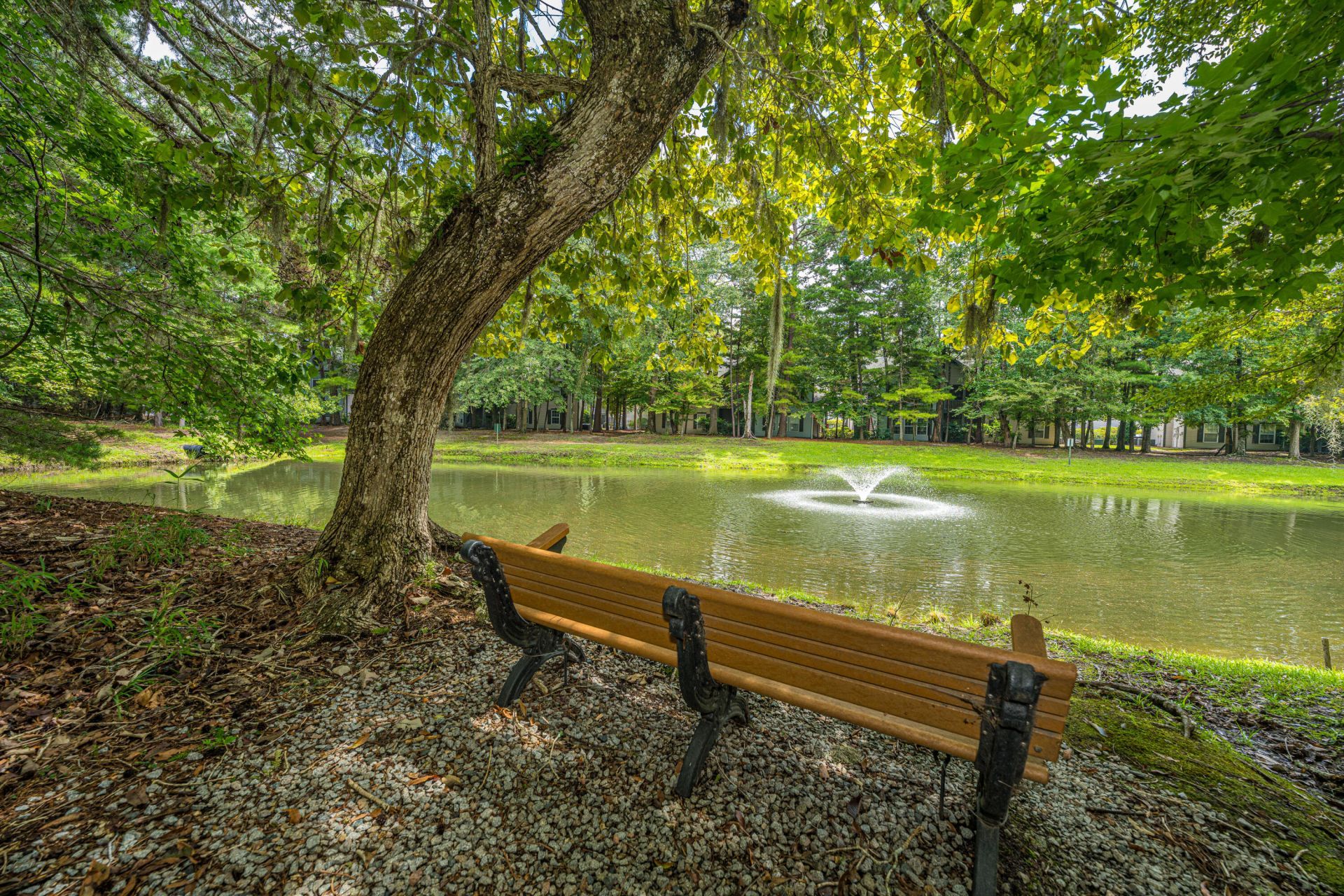 403 S Elgin Court Photo 36