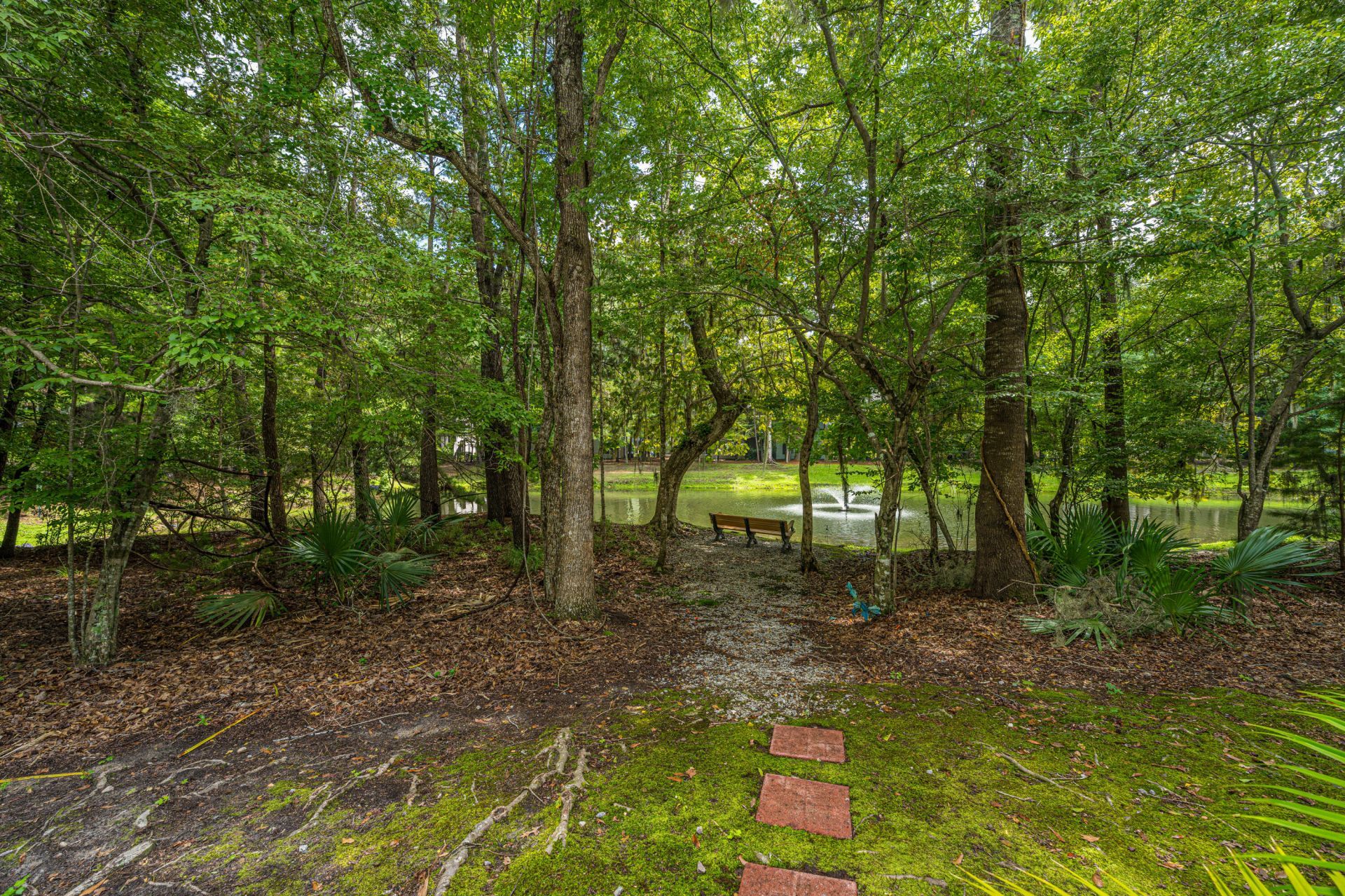 403 S Elgin Court Photo 38