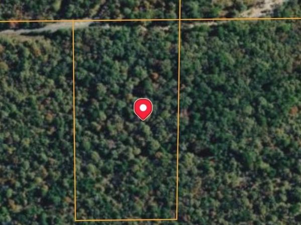 00 Polk 767 Road , Mena, AR 71953