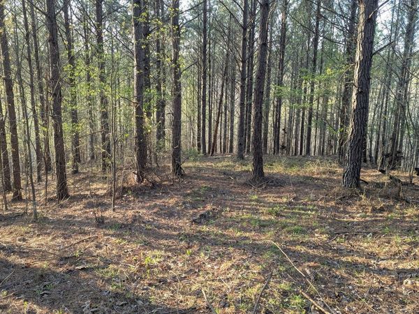 628 Starlight Dr , Unit 176, Linden, TN 37096