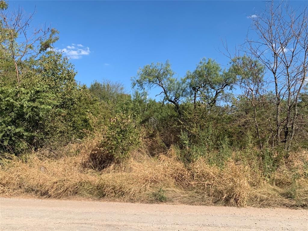101 Bridlewood Lane, Bridgeport, TX 76426 Main Photo