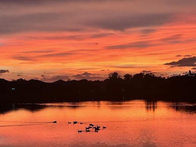 4844 Antrim Drive, Sarasota, FL 34240 Photo
