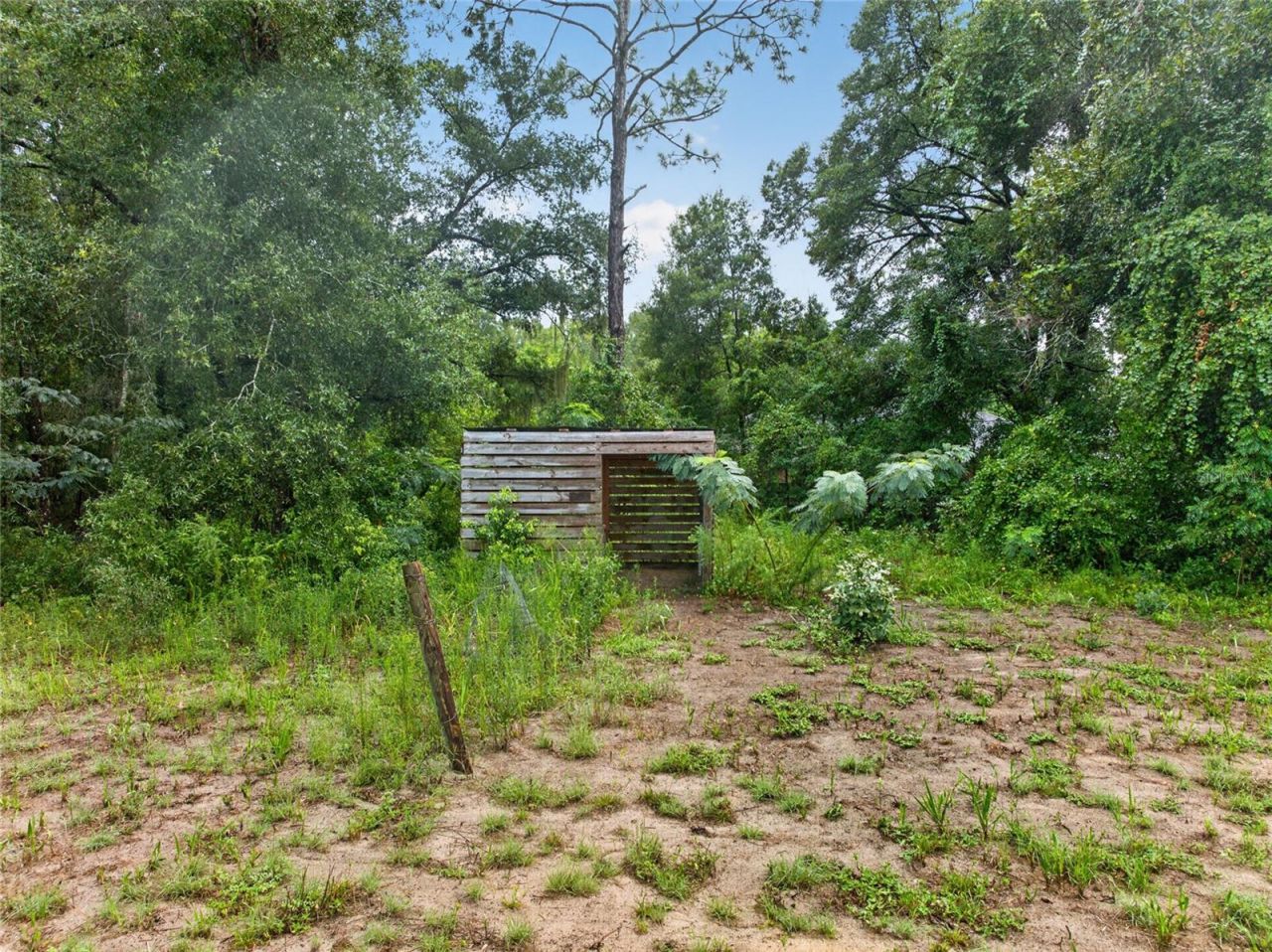 11855 SE 141st Terrace , Ocklawaha, FL 32179 Photo