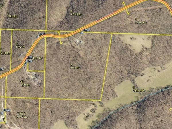12502 Troutdale Road , Gravois Mills, MO 65037