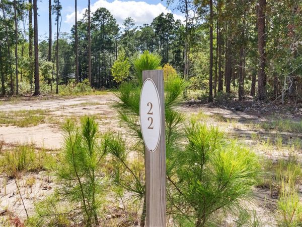 Lot 22 W Captain Fritz Way, Freeport, FL 32439