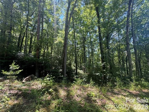 165 N Poplar Drive , Lake Lure, NC 28746