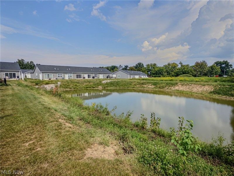 118 W Spring Drive, Elyria, OH 44035 Photo 19