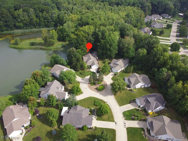 4231 Sunfish Cove, Avon, OH 44011 Photo 43