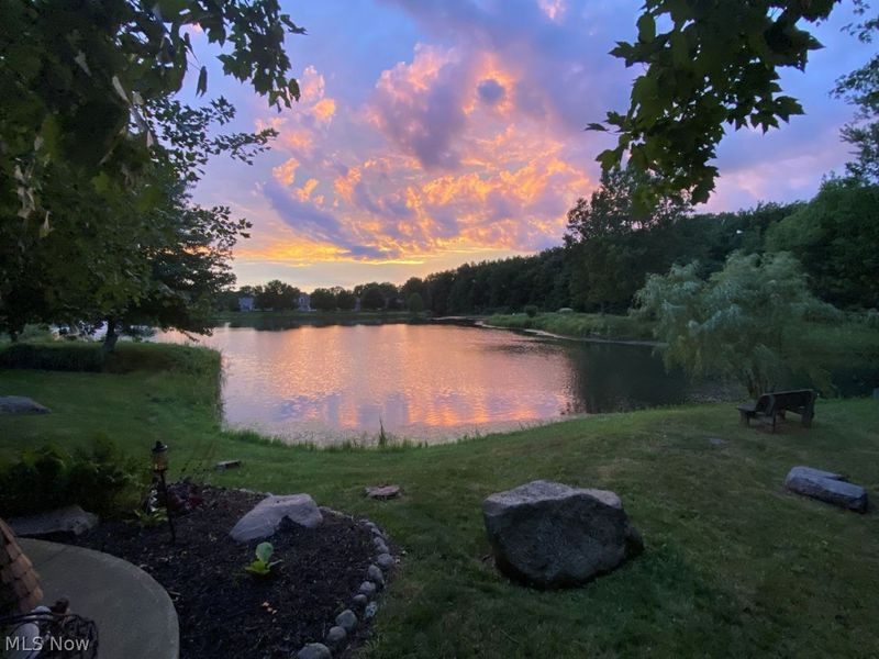 4231 Sunfish Cove, Avon, OH 44011 Photo 48