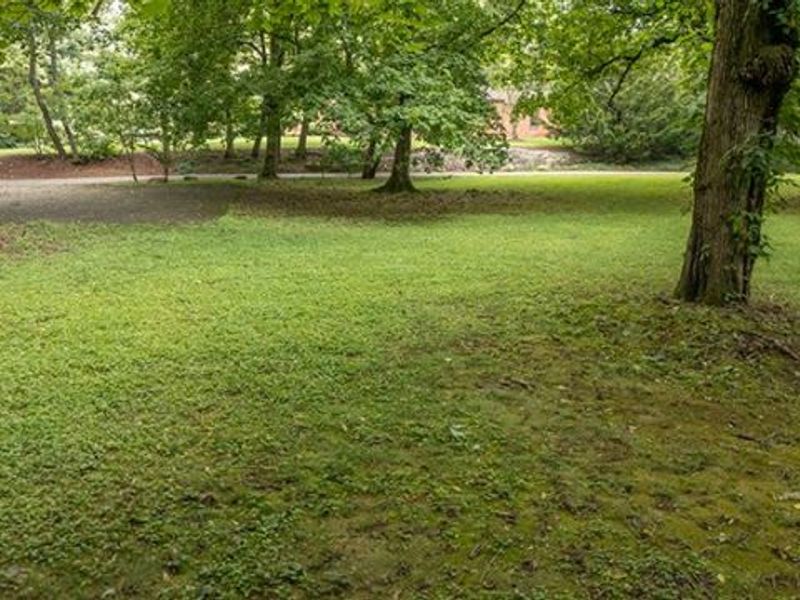 1437 N Park Avenue NW, Canton, OH 44708 Photo 34
