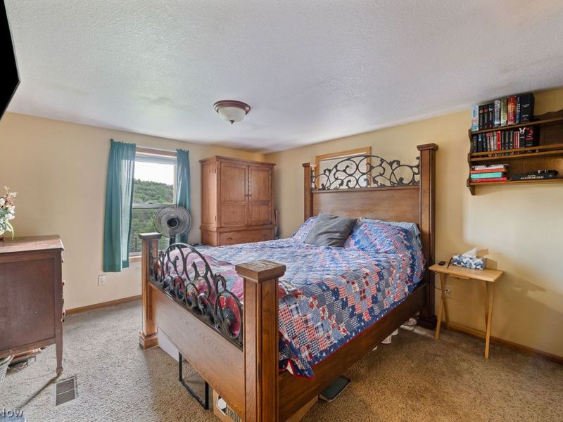 1323 Brussel Road NE, Carrollton, OH 44615 Photo 14