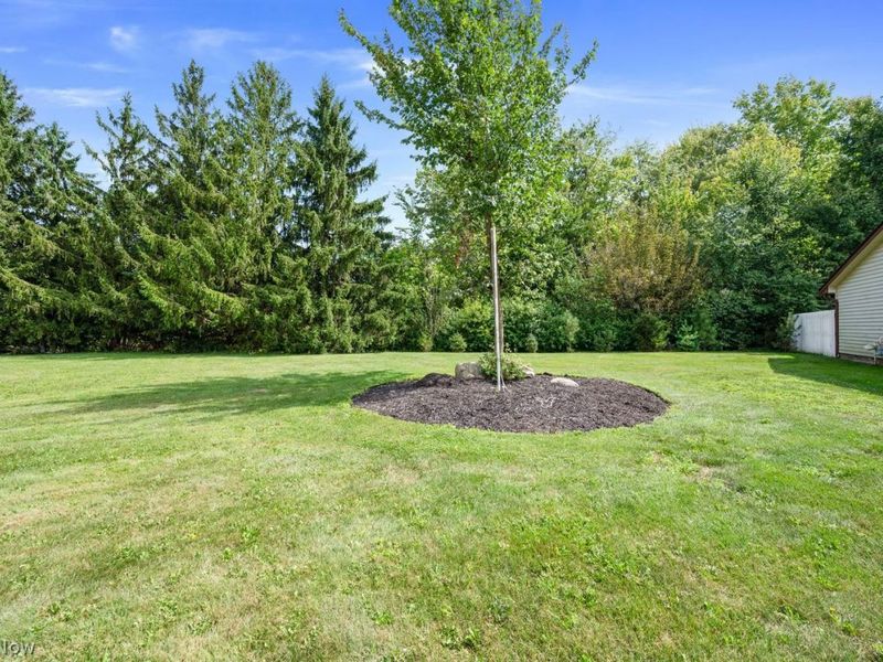 5145 Park Side Trail, Solon, OH 44139 Photo 31