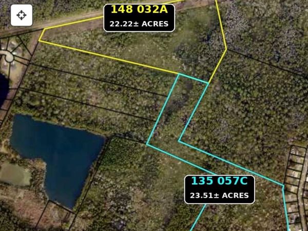 0 Palmetto Street (2 Parcels 45.73 Acres) , St. Marys, GA 31558