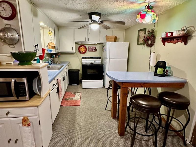 6037 Willard West Road, Willard, OH 44890 Photo 21