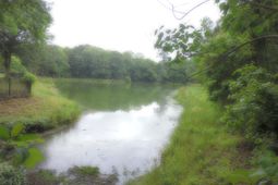 0 Folly  photo 4