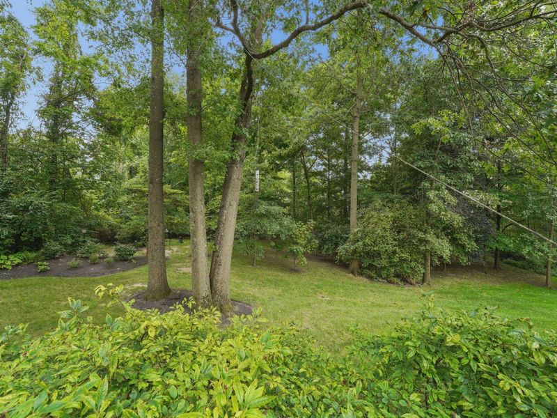 777 Black Gold Avenue, Gahanna, OH 43230 Photo 48