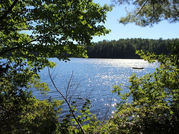 31 Haskell Avenue , Raymond, ME 04071