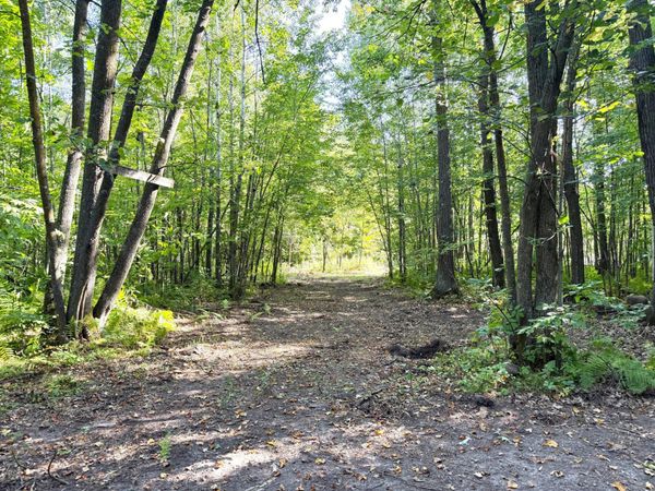 TBD-PARCEL C County Rd 23 , Brainerd, MN 56401