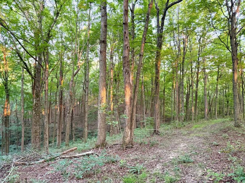 0 Greenbriar Road, Harrison Township, OH 45662 Photo 62