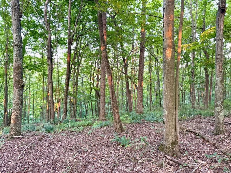 0 Greenbriar Road, Harrison Township, OH 45662 Photo 68