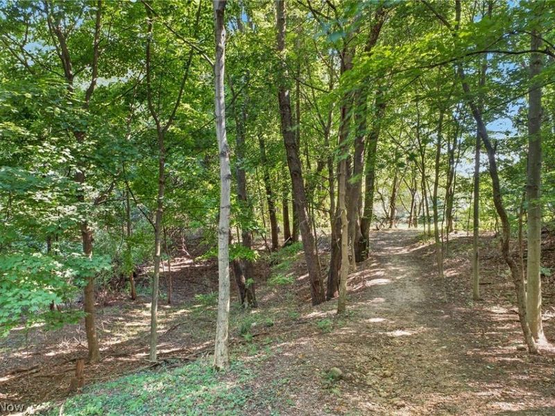 598 Randolph Road, Mogadore, OH 44260 Photo 37