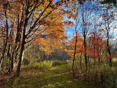 Nys Route 98, Franklinville, NY 14737
