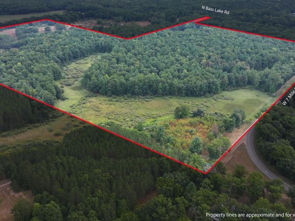 9372 W 7 Mile Road, Irons, MI 49644
