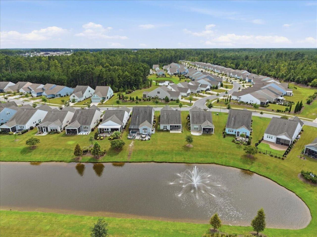 489 Switchgrass Drive Photo 38