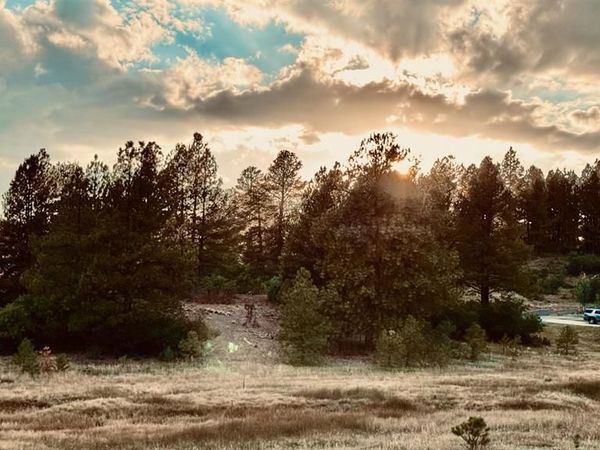 107 Chase Court, Pagosa Springs, CO 81147