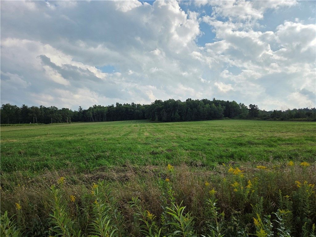 Ford Road, Pulteney, NY 14874 Main Photo