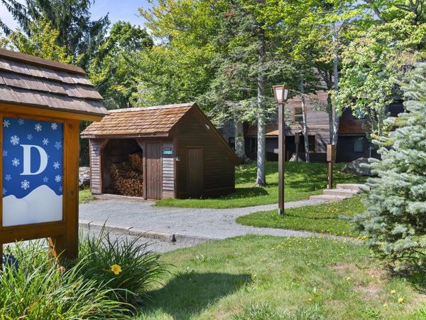 112 High Ridge Road, Unit D8, Killington, VT 05751