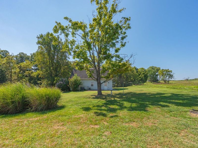 5339 Old US Highway 68, Ripley, OH 45167 Photo 55