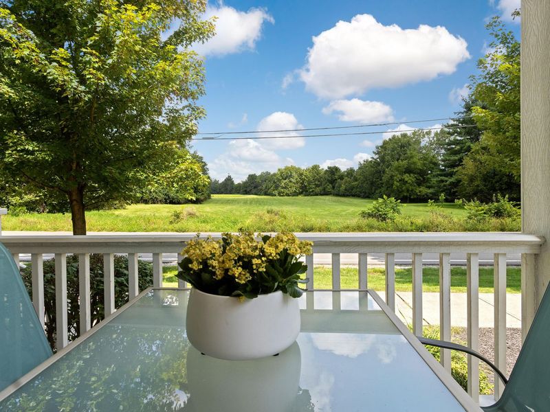 185 W Case Street, Powell, OH 43065 Photo 4