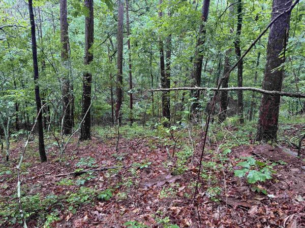 79 Greco Way , Hot Springs Village, AR 71909