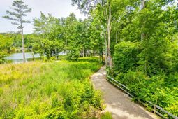 Lot 6 Longview Drive photo 4