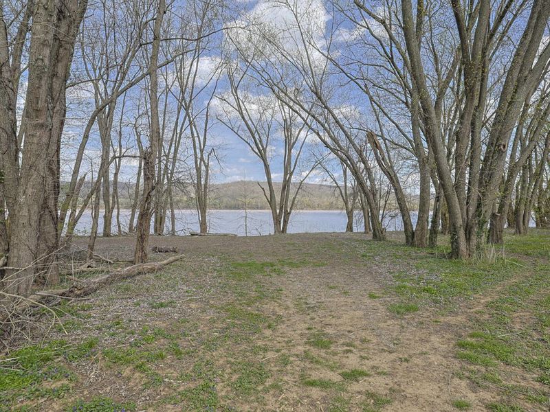 5646 New Drive, Melbourne, KY 41059 Photo 44