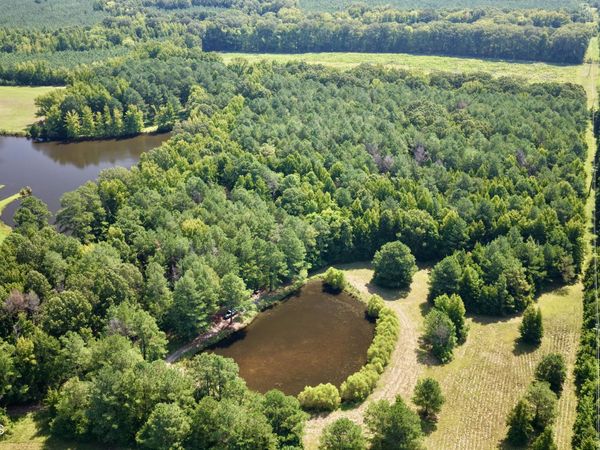 N Beasley Road, Pheba, MS 39755