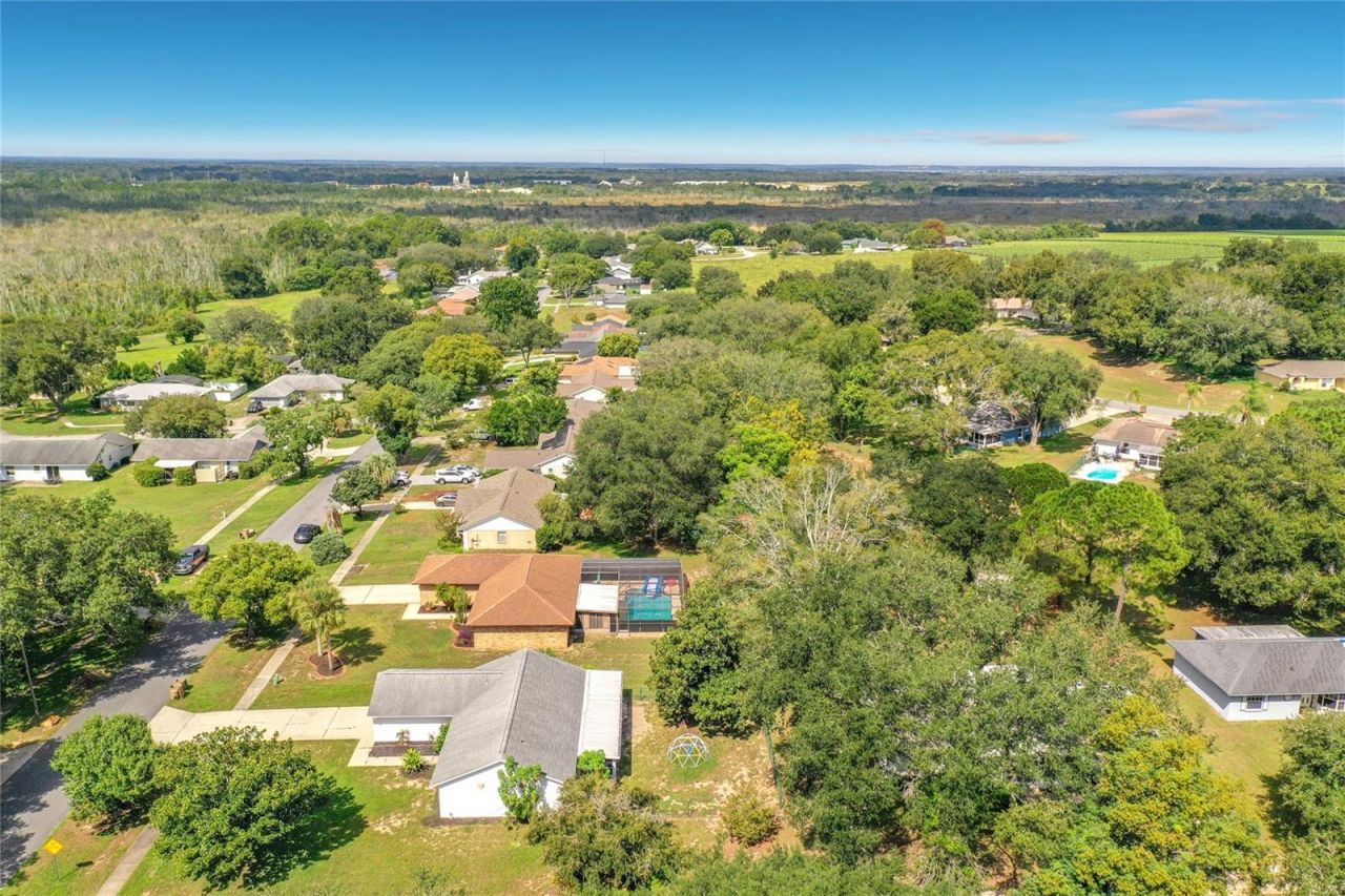 12505 Wedgefield Drive, Grand Island, FL 32735 Photo