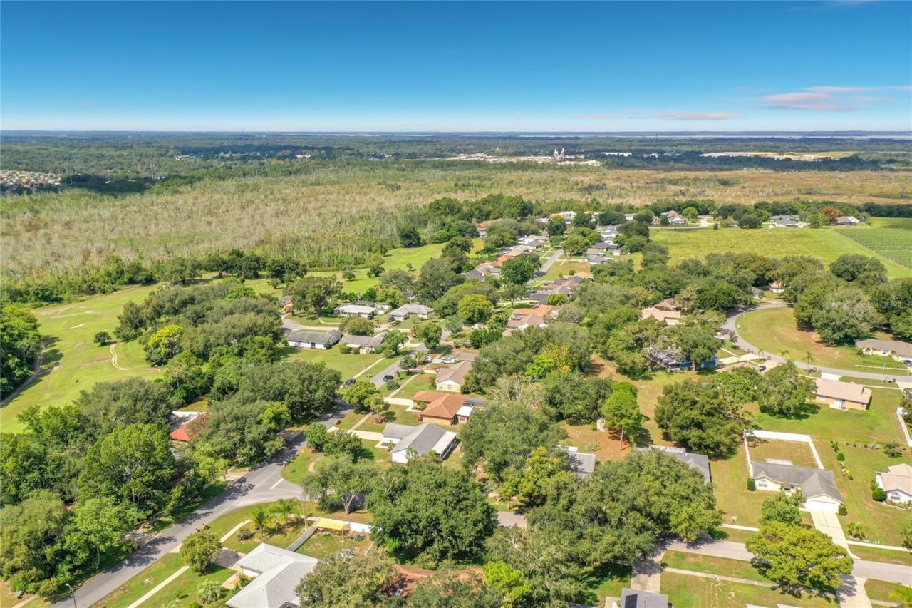 12505 Wedgefield Drive, Grand Island, FL 32735 Photo