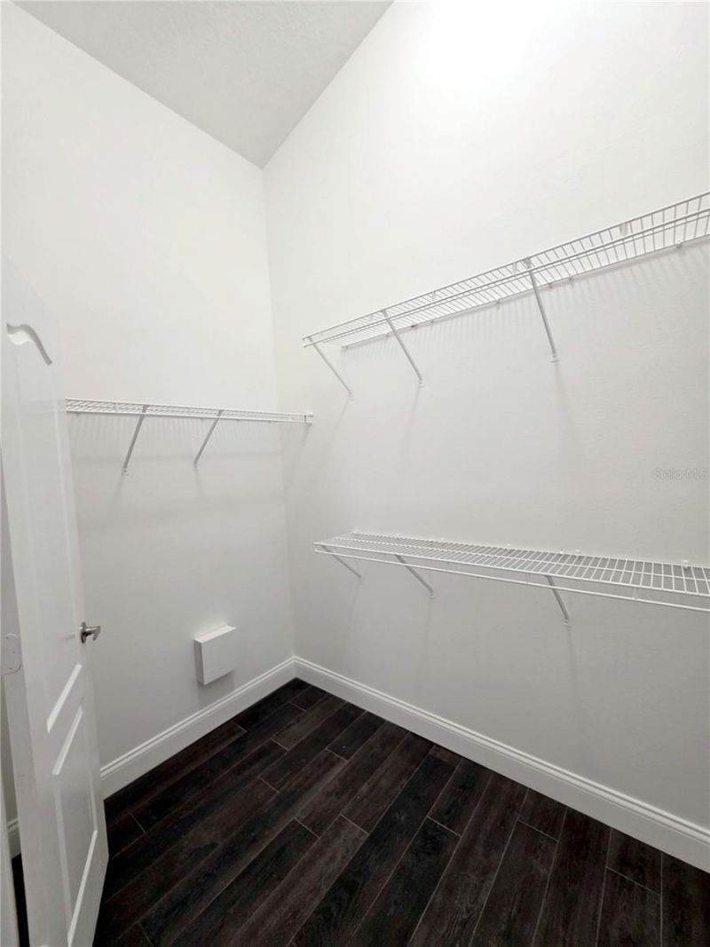 30809 Burleigh Drive, Wesley Chapel, FL 33543 Photo