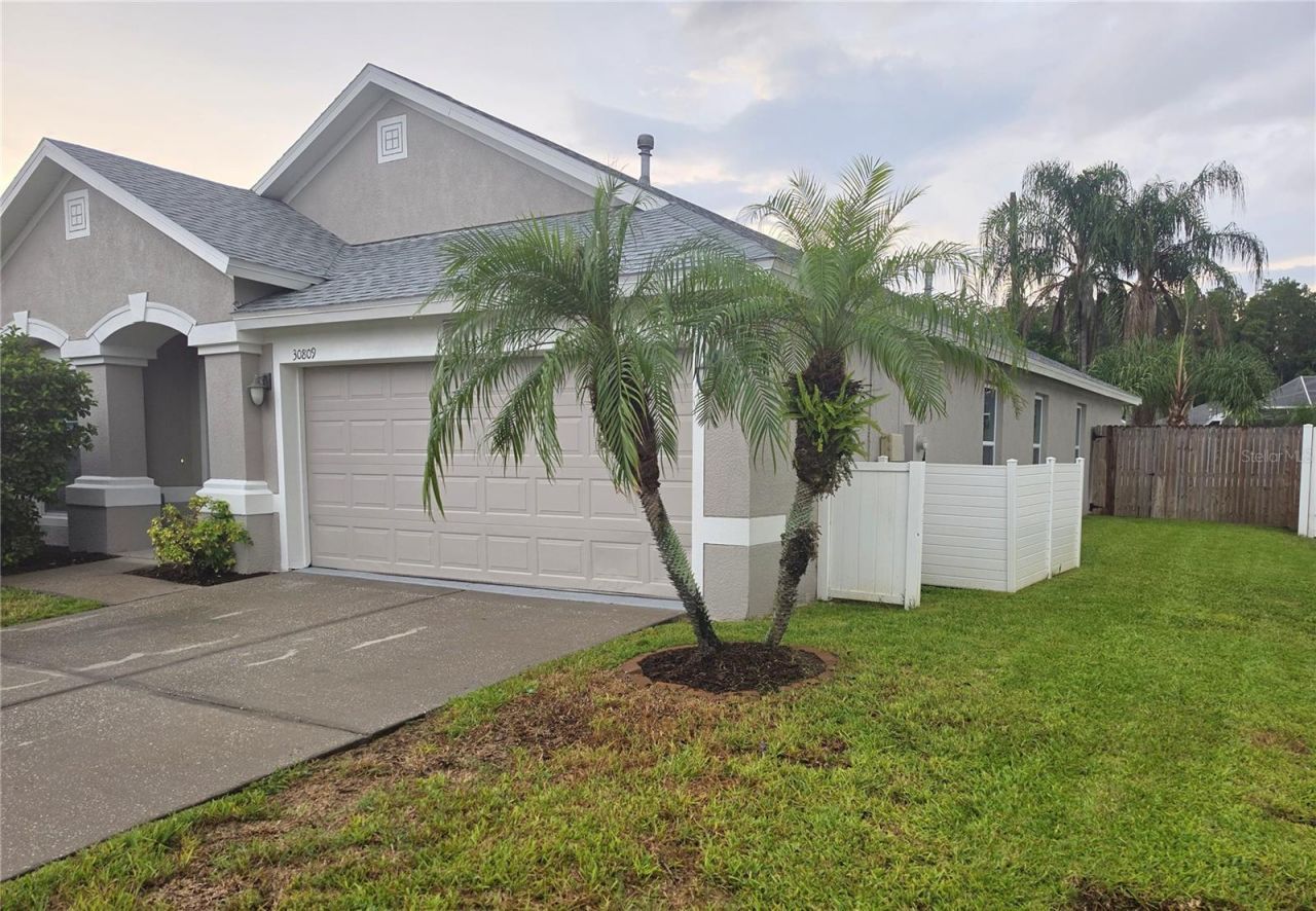30809 Burleigh Drive, Wesley Chapel, FL 33543 Photo