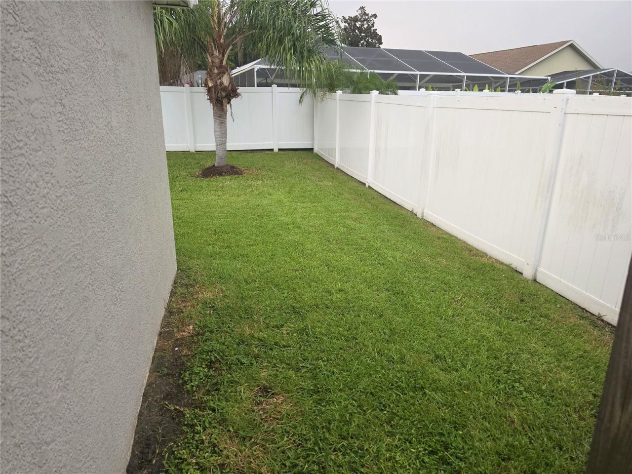30809 Burleigh Drive, Wesley Chapel, FL 33543 Photo