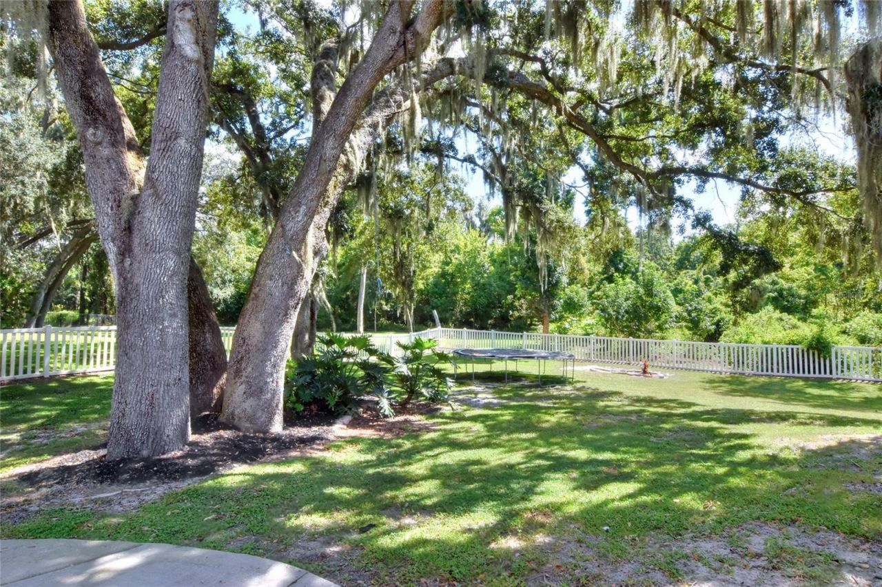 7365 Millbrook Oaks Drive , Lakeland, FL 33813 Photo